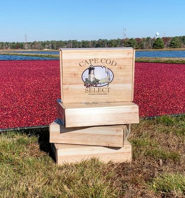 Ultimate Cranberry Grazing Box