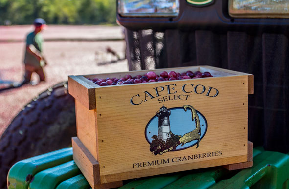 Wooden Keepsake Box with Fresh Cranberries